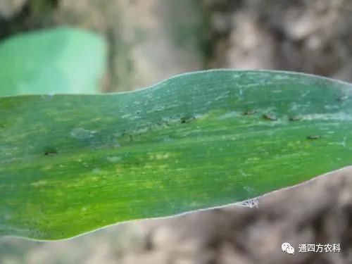 ���הQ����ô�k����ץ�o��Q��Ӱ푮a(ch��n)��!!!