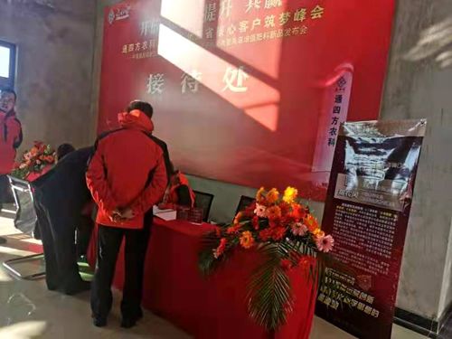 ����_������|����ʡ����